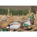 Подсадная утка Flambeau Full Body Mallard комплект 6шт.