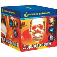 Батареи салютов Русский Фейерверк Сорвиголова 25 залпов