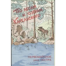 Карта по лесам и озерам Карельского №17
