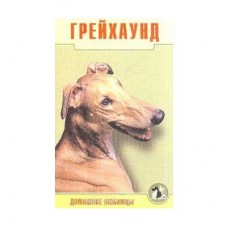 Книга Освенская грейхаунд  Домашние любимцы