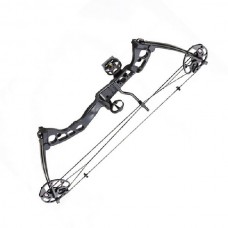 Лук блочный Рекс PKG черный