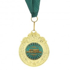 Медаль Хольстер Лучший руководитель