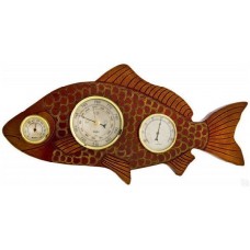 Метеостанция Бриг+ М рыба