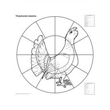 Мишень для пристрелки дробовых ружей 16-дольная 1/100