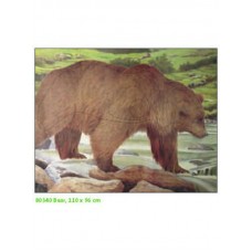 Мишень Jvd Медведь бумажная