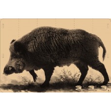 Мишень Кабан (картон)