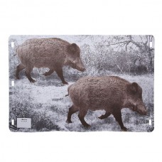 Мишень Сеголетки