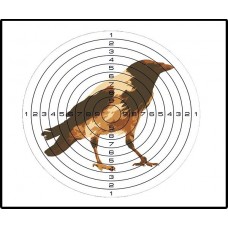 Мишень Ворон