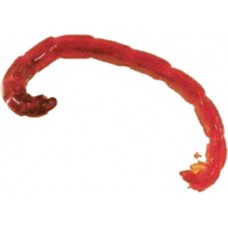 Мотыль Турченко 10гр