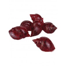 Насадка Prologic ArtBait Natural Floating Snail M.O. Glitter 12шт