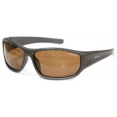 Очки Nautilus Amaro N7202 PL brown