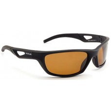 Очки Nautilus Bretoni N8102 PL brown