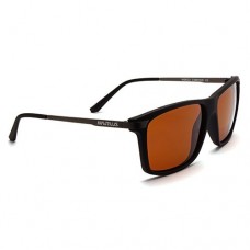 Очки Nautilus Cimone N5602 PL brown