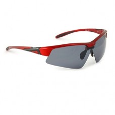 Очки Nautilus Vettore N7501 PL grey