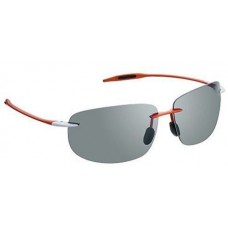 Очки Shimano HG-068K титан-коричневые р-р.One