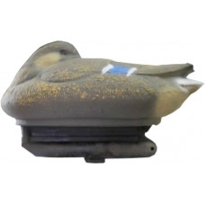 Подсадная утка Кряква отдыхающая