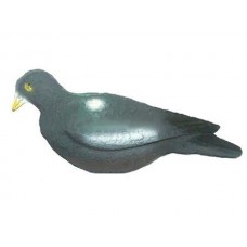 Подсадной голубь Лесной