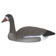 Подсадной гусь Белолобый луг/вода