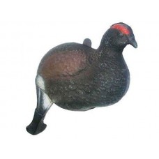 Подсадной Тетерев