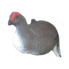 Подсадной Тетерка