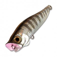 Воблер Jackson R.A. POP/CKR