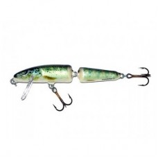 Воблер Salmo Fanatic IF7F-RTR